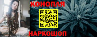 спиды Обь