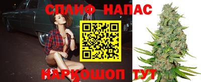 спиды Обь