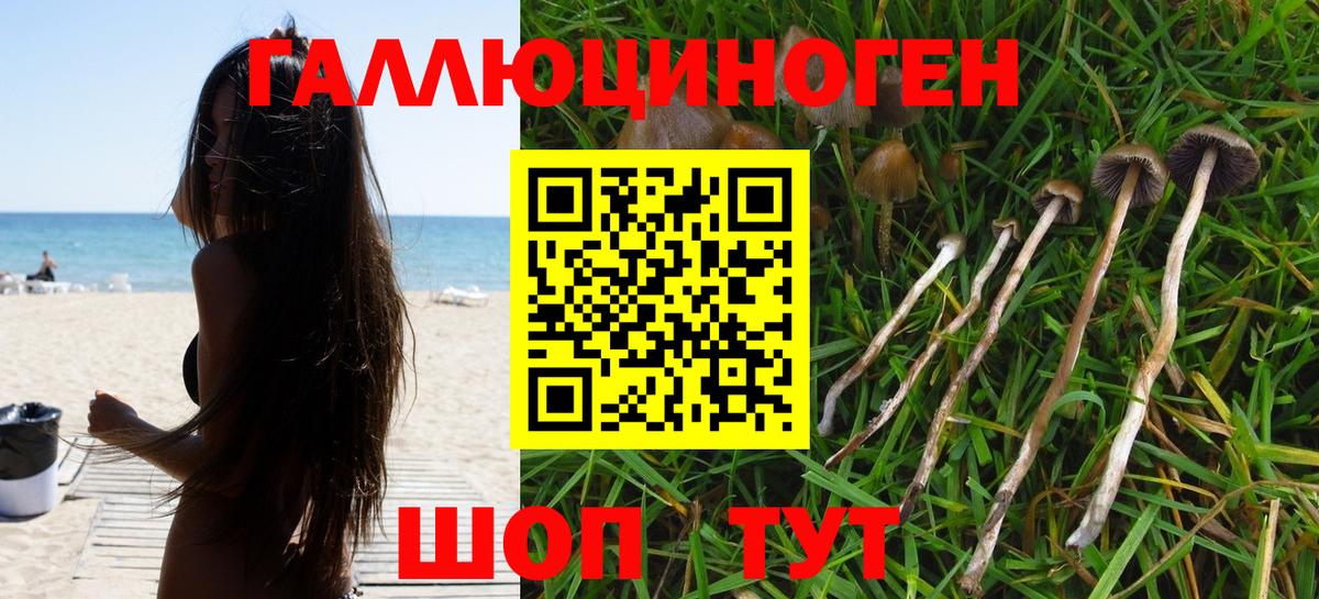 Псилоцибиновые грибы Psilocybe Феодосия