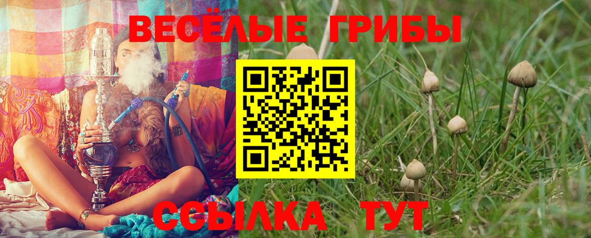 Галлюциногенные грибы прущие грибы  Вход с VPN  Феодосия 